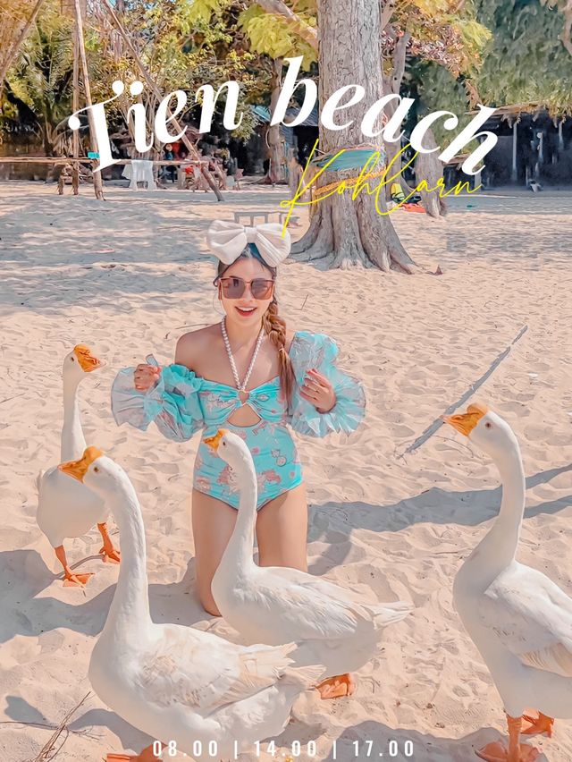 ‼️แชร์โลมา ถ่ายรูปกับน้องห่าน เจ้าหญิงแห่งหาดเทียน
