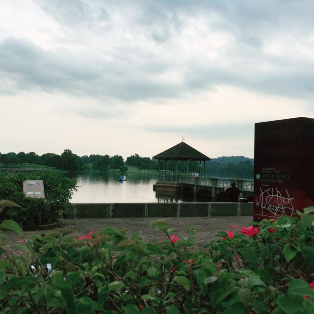Lower Peirce in Cloudy Conditions…