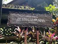 Campuhan Ridge Walk in Bali