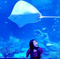 Aquaria Phuket