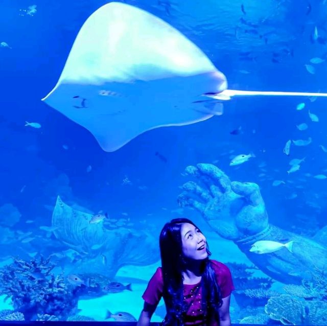 Aquaria Phuket