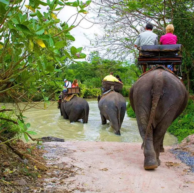 Exclusive Elephant village in pattaya 