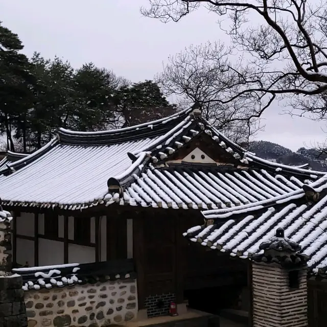 겨울의 정취가 묻어나는 강릉