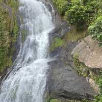 Kuranda your way to the railway!