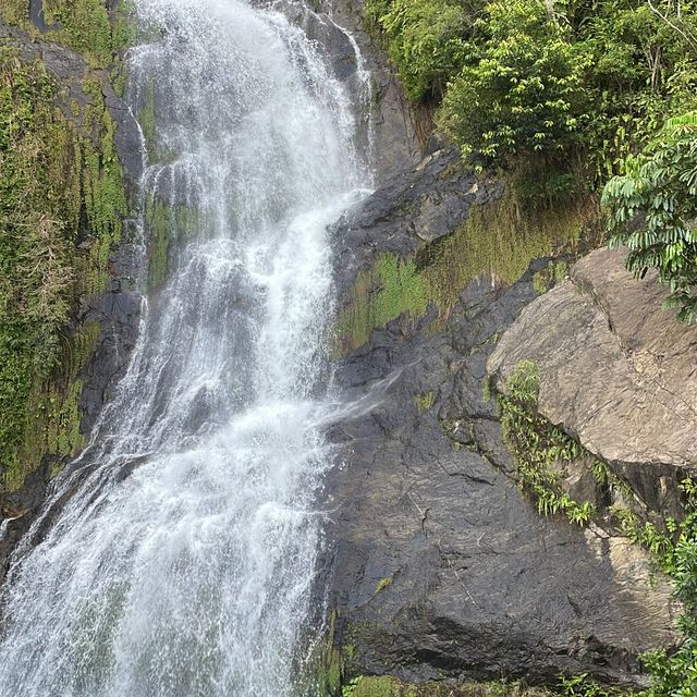 Kuranda your way to the railway!