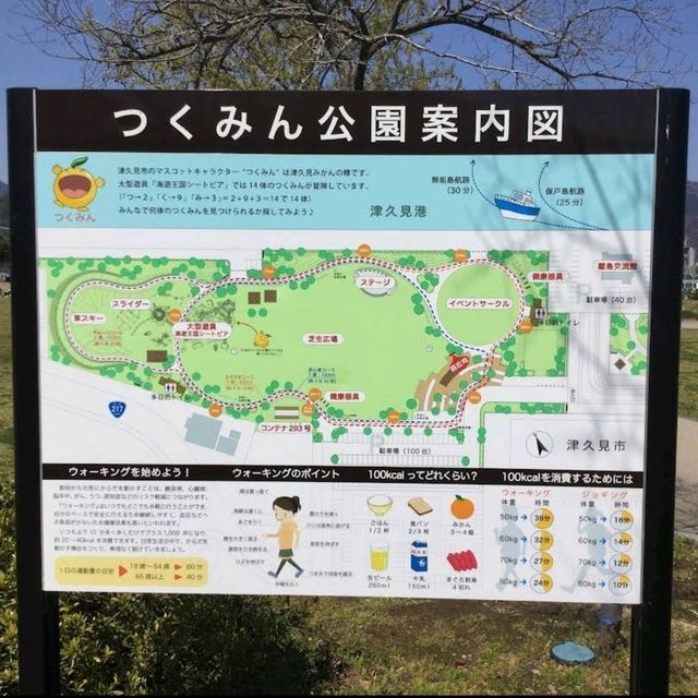 小朋友可以玩足一日的公園
