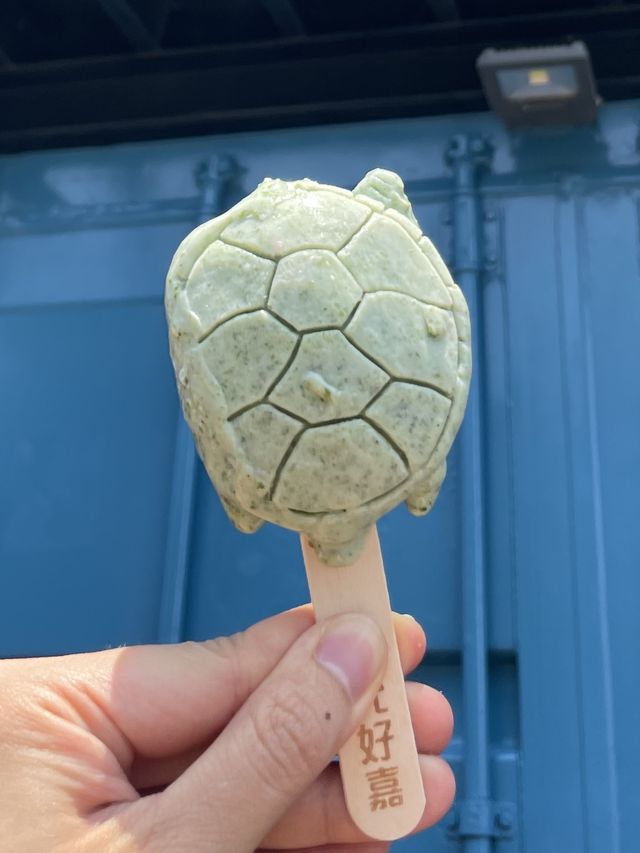 小琉球💙尋找必吃 ! 海龜特色美食📸推薦
