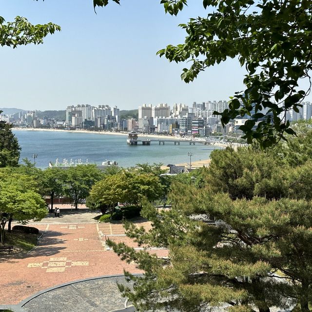 대한민국 중공업의 중심!!! 도시에서 드넓은 동해를 보고 싶다면 포항으로 고고싱😍😍
