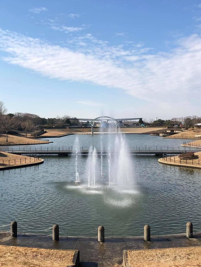 東京出發2小時景點🤪賞花必到‼️國營常陸海濱公園