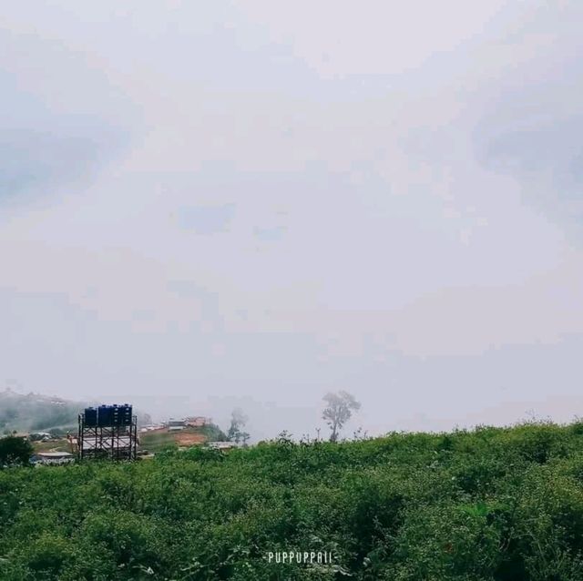 เที่ยวหน้าฝนที่ ภูทับเบิก จ.เพชรบูรณ์