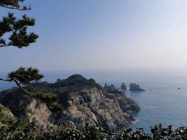 외국 느낌 식물원 수목원 외도보타니아