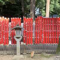 【愛知】狐は何匹いるでしょうか！🦊🦊 
