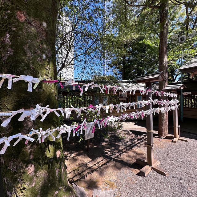 A peaceful pitstop near Harajuku 