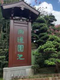 香港打卡好去處 @ 南蓮園池