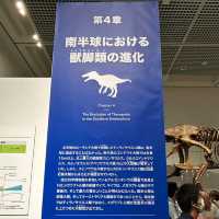 新属新種もりだくさん！期間限定 恐竜博2023 大阪市立自然史博物館