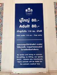 คาเมล รีพับบลิค Camel Republic ที่เที่ยวชะอำ