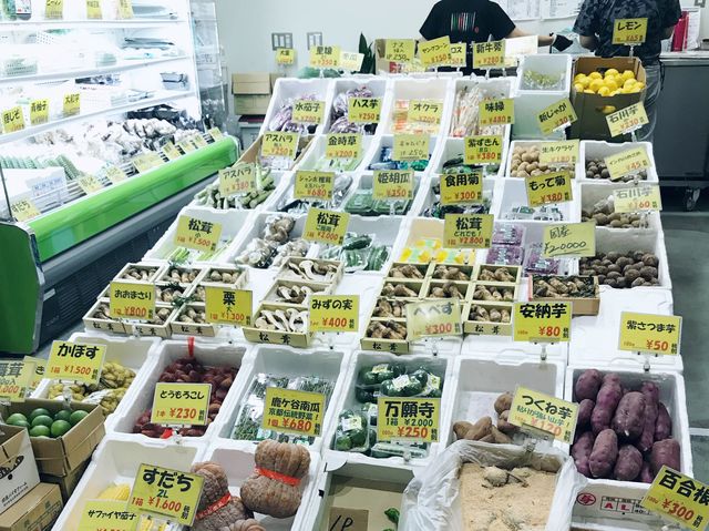 豐洲市場