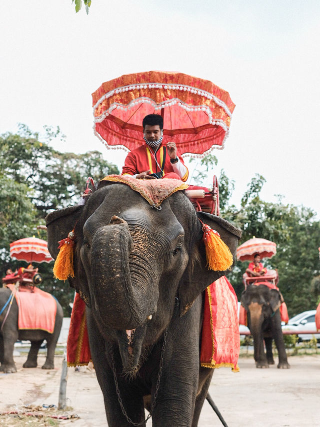 One day trip in Ayutthaya l 4 วัด 2 ที่เที่ยว