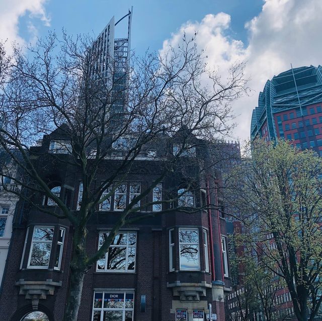 🇳🇱荷蘭海牙🌳🦆🐦The Hague (Den Haag)🌤️城市風光景色優美