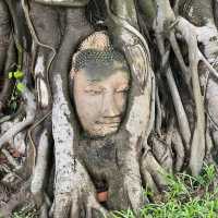 UNESCO - Ayutthaya, Bangkok 🇹🇭