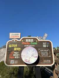 신선들이 노니는 섬 군산 선유도 여행🙃