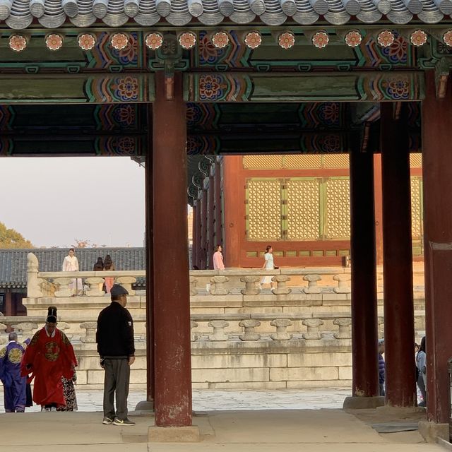 고즈넉한 경복궁.. 가을에 더 예쁜거 아셨나요?🤎🍁