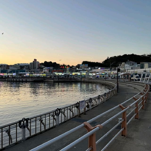 속초대표항구, 대포항! 보고 먹고 느끼고❤