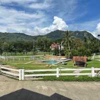 lansaka sheep farm