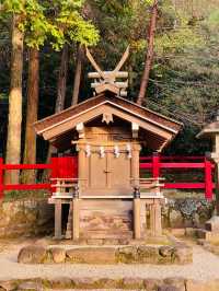 【奈良県/檜原神社】2023年行ってよかった！奈良県の神社④