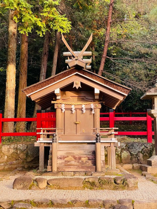 【奈良県/檜原神社】2023年行ってよかった！奈良県の神社④