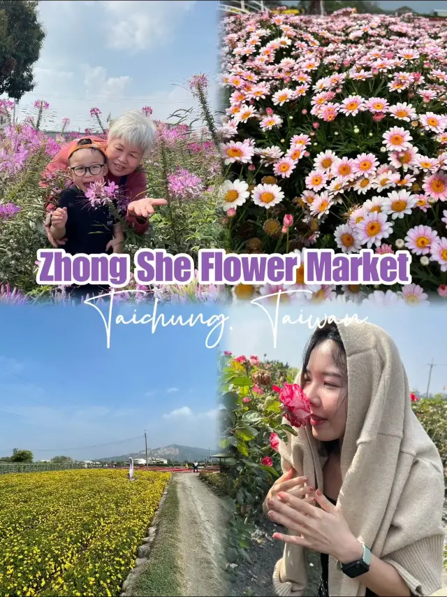 Picturesque Flower Farm in Taichung 🌺🌷🌼