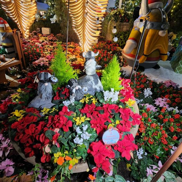 Flower Dome Christmas