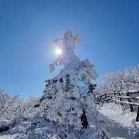 Beautiful Snow View of Deogyusan Mountains 