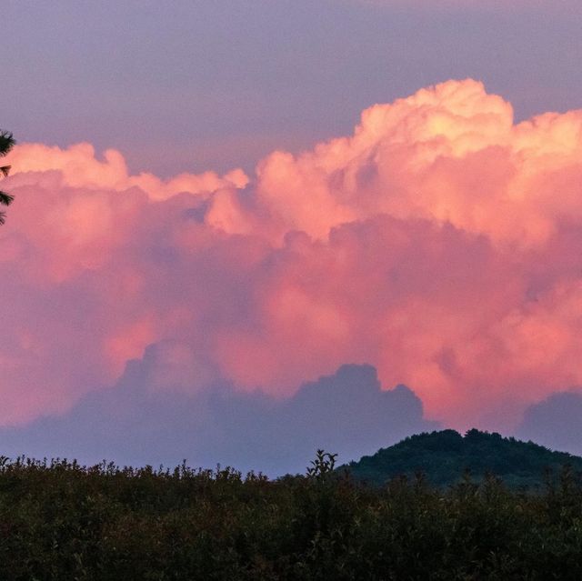 Amazing Sunset on Tapjeongho (탑정호)