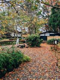 🇯🇵日本東北👣 秋田縣角館武家屋敷🍁