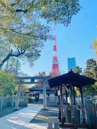 【東京都/熊野神社】増上寺の鬼門封じの神社