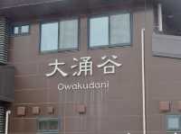 Owakudani 