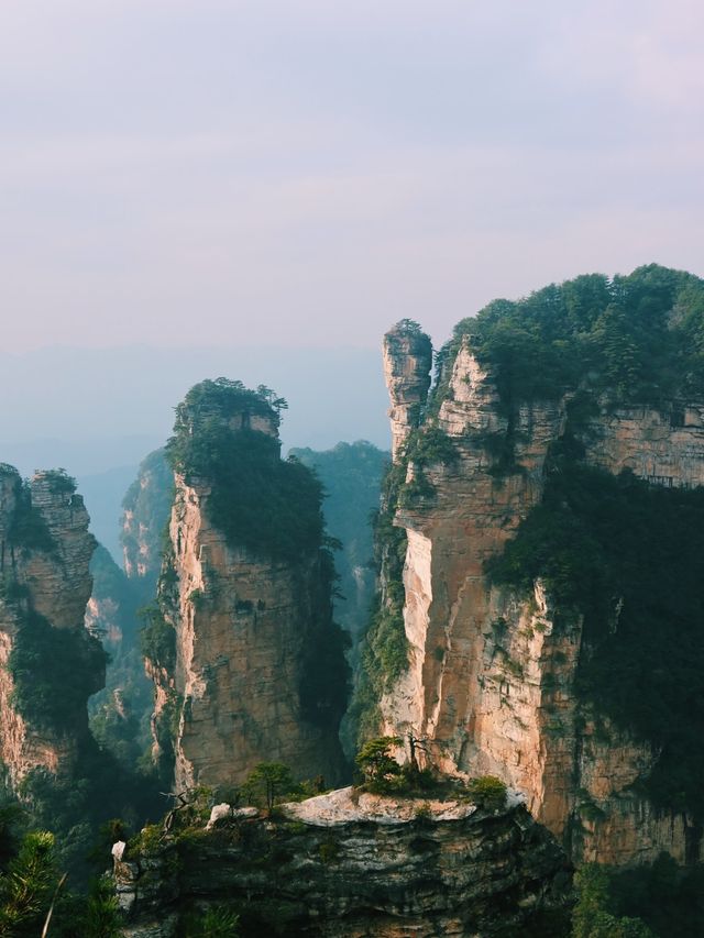 The Avatar Mountains - Zhangjiajie🌲🏔️