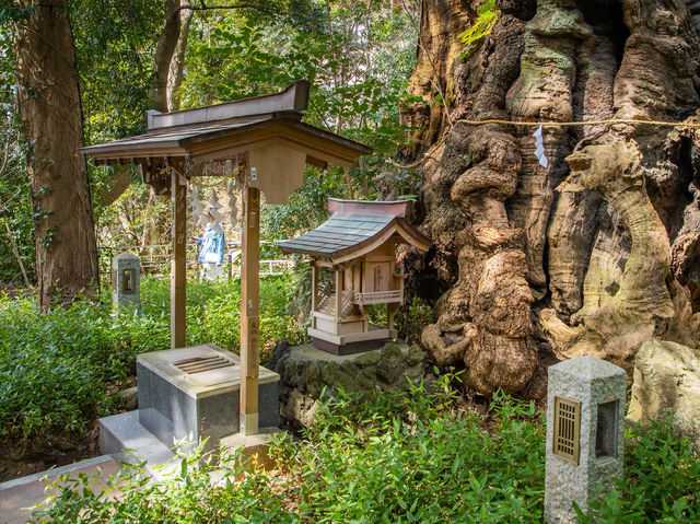 Kinomiya Shrine