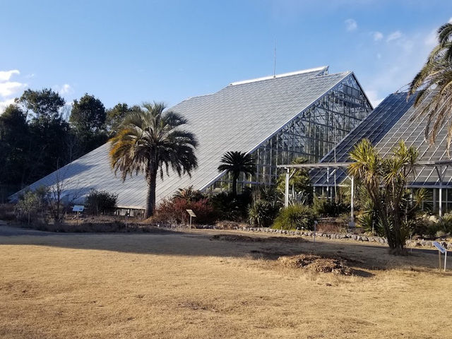 The Tsukuba Botanical Garden 