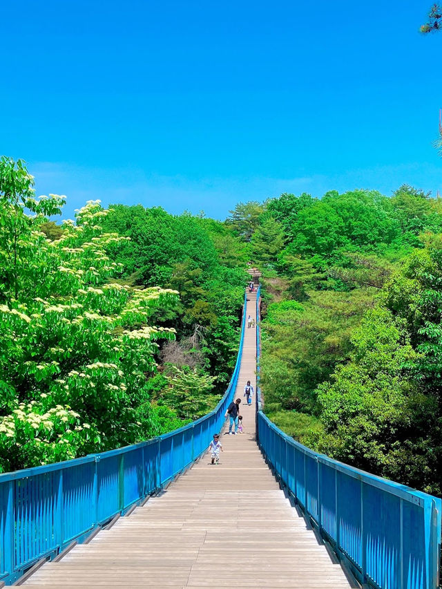 Hachimanyama Park Adventure Bridge 