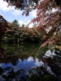 絕美賞楓勝地：雲場池