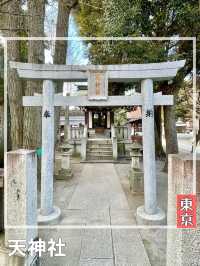 【東京都/鎧神社】珍しい狛犬型庚申塔