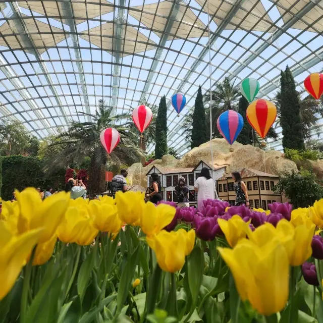 Gardens By The Bay (Flower Dome)