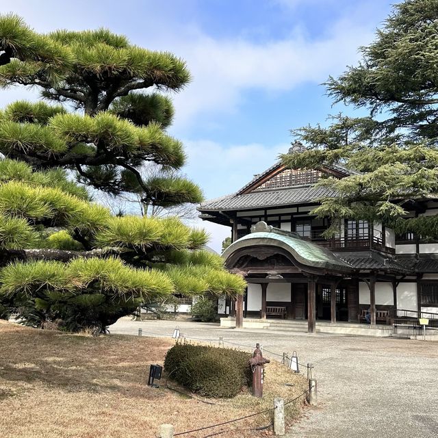 栗林公園🍁十二月賞楓❤️一步一景