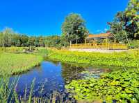 Kyuhoji Green Space