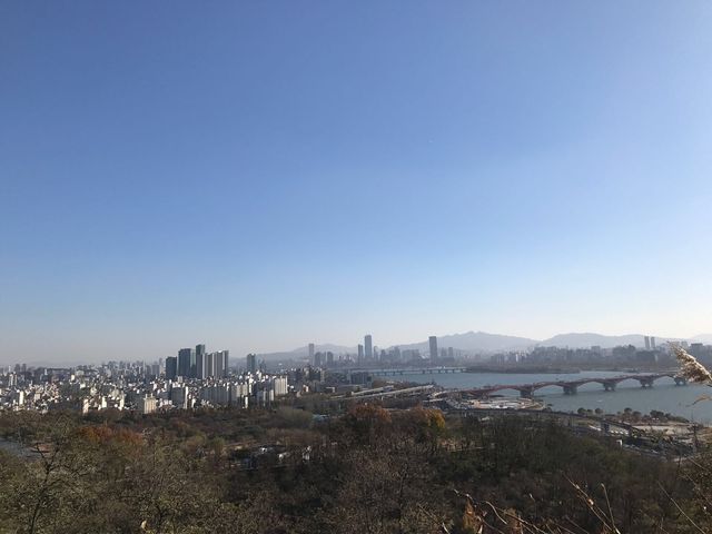 芒草天堂-韓國天空公園