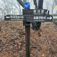안개가 자욱한 날의 옥마산⛰️