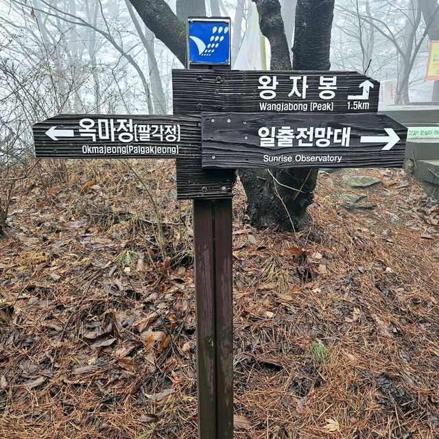 안개가 자욱한 날의 옥마산⛰️