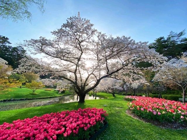 Hamamatsu Flower Park